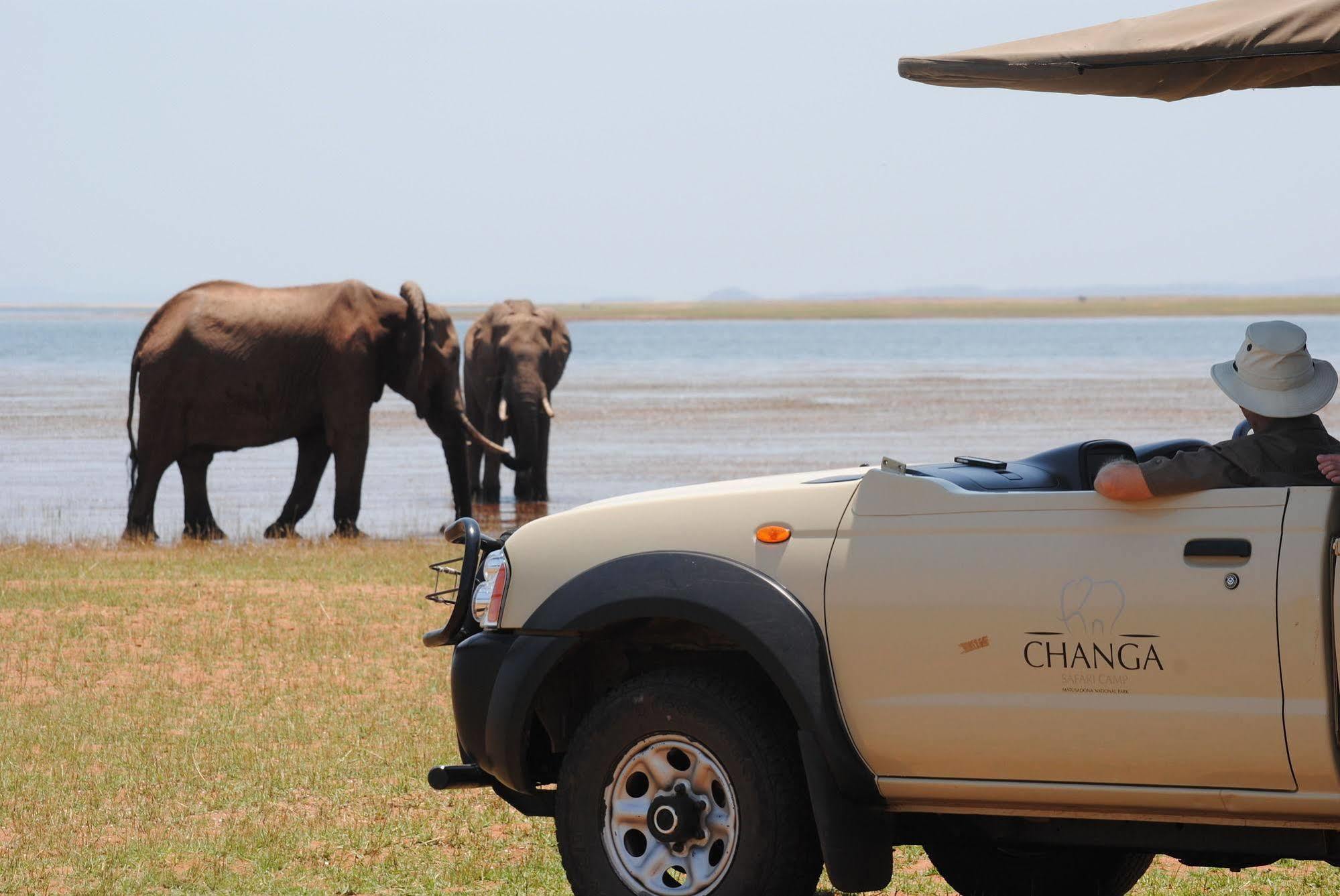 Changa Safari Camp Matusadona National Park Exteriör bild