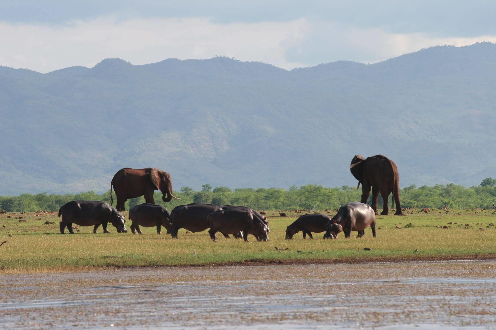 Changa Safari Camp Matusadona National Park Exteriör bild